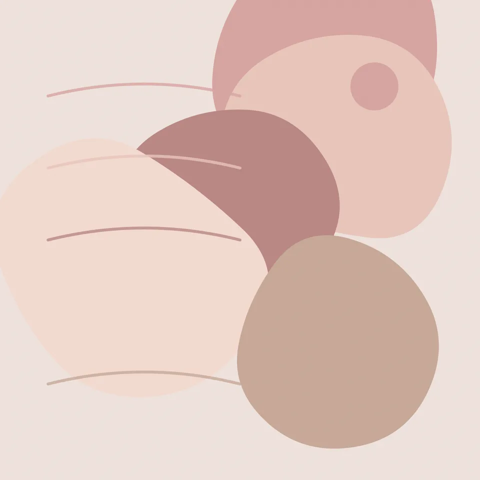 Roz pudrat
