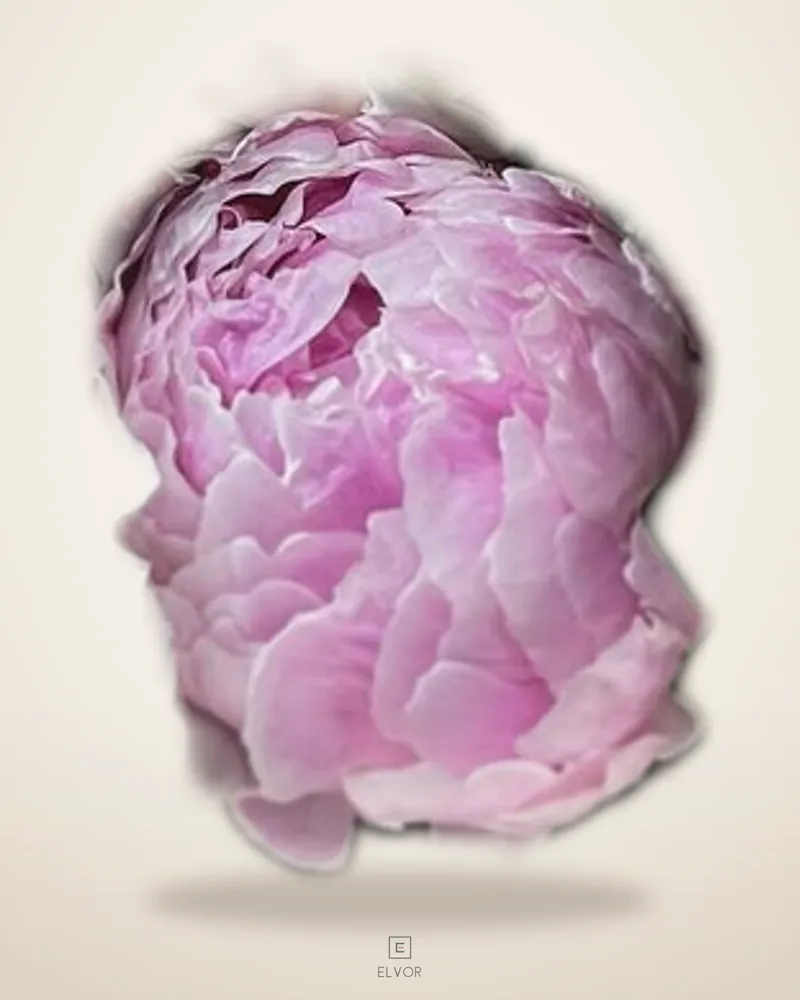 Buchet de mireasa