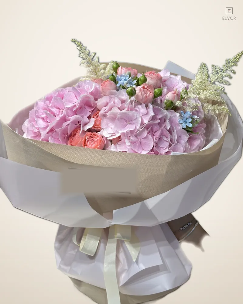 HYDRANGEA 3