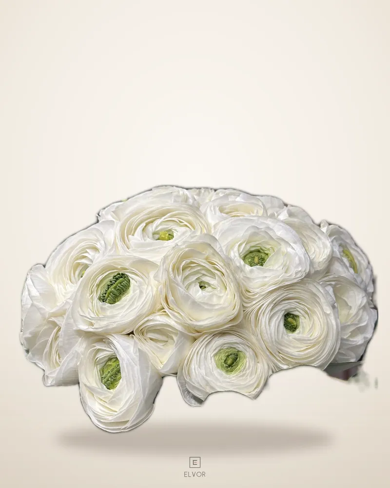 Wedding Bouquet