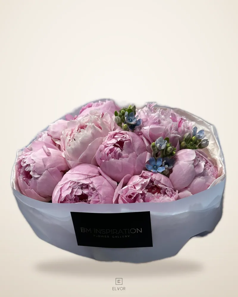 Sarah Bernhardt PEONY