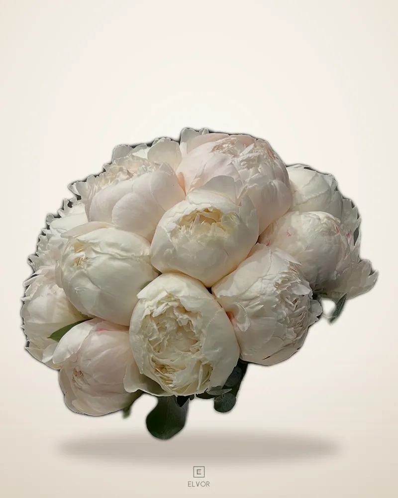 PEONY Bridal Bouquet