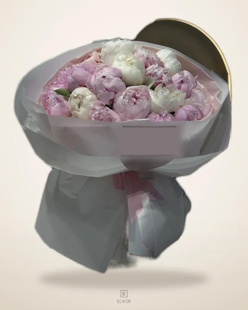 White & pink PEONY